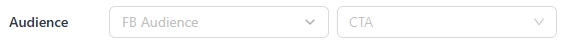 BigSpy FB Audience and CTA filters