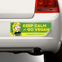 bumper stickers for cars