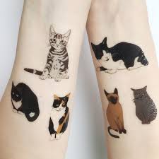 cat tattoo sticker